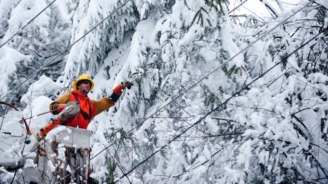 Rob Kohler, un ouvrier sur les lignes électriques de Kokomo, dans l'Indiana, déblaye les lignes électriques chargées de neige à Terra Alta, en Virginie occidentale, le mercredi 31 octobre 2012.