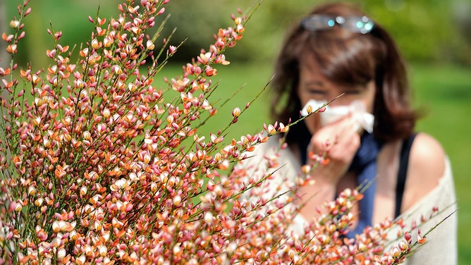 A woman blows her nose.