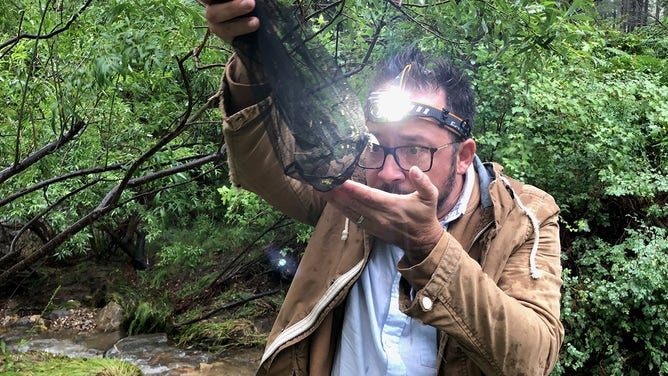 Lawrence Reeves checking traps