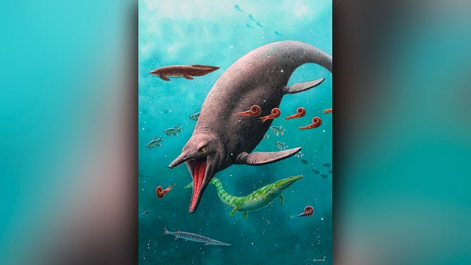 Reconstruction of earliest ichthyosaur