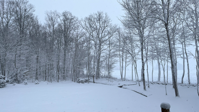 A winter wonderland is seen off the back deck of a home in Marcellus, New York, on Tuesday, March 14, 2023.