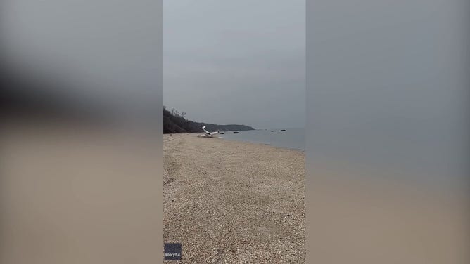 A single-engine plane was forced to make an emergency landing on a beach in Long Island, New York after an engine malfunction, and the dramatic moment was caught on camera.