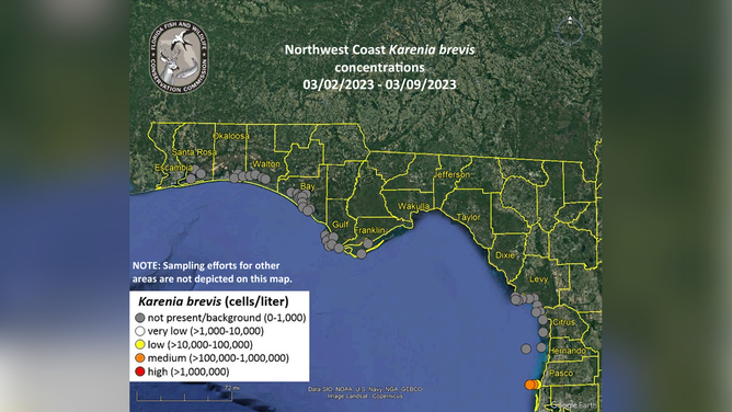 Red tide concentrations along Florida's northwestern coast from March 2 - March 9.