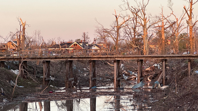 Trees are stripped of leaves after a violent and deadly tornado in Rolling Fork, Mississippi, on Friday, March 24, 2023.