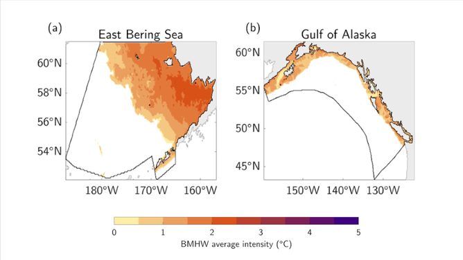These illustrations show the average intensity of bottom heat waves ( heat anomalies) that occurred between 1993 and 2019 in each of the large marine ecosystems studied by a team of NOAA scientists. 