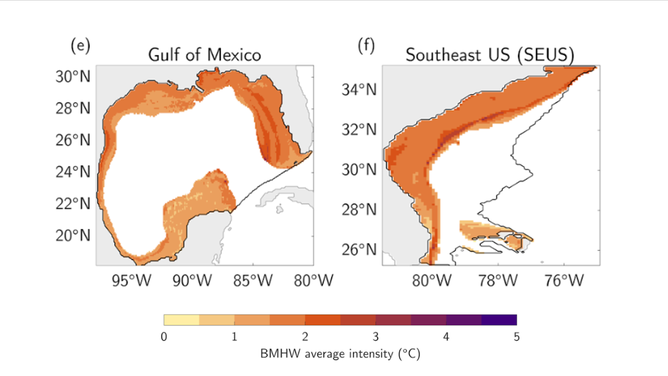 These illustrations show the average intensity of bottom heat waves ( heat anomalies) that occurred between 1993 and 2019 in each of the large marine ecosystems studied by a team of NOAA scientists. 