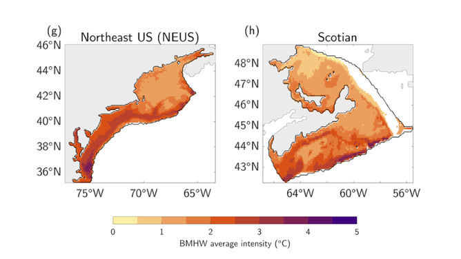 These illustrations show the average intensity of bottom heat waves ( heat anomalies) that occurred between 1993 and 2019 in each of the large marine ecosystems studied by a team of NOAA scientists. 