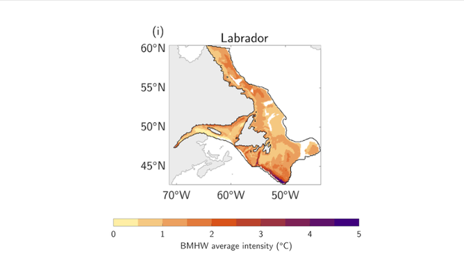 These illustrations show the average intensity of bottom heat waves ( heat anomalies) that occurred between 1993 and 2019 in each of the large marine ecosystems studied by a team of NOAA scientists. 
