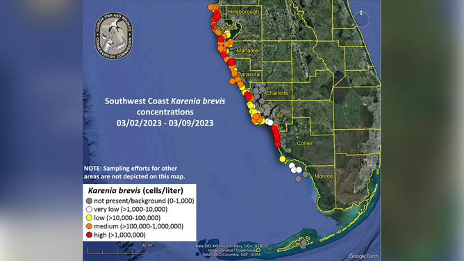 Red tide concentrations along Florida's southwestern coast from March 2 - March 9.
