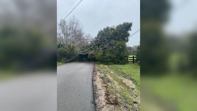 California Storm Damage