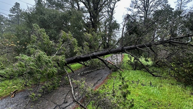 California Storm Damage