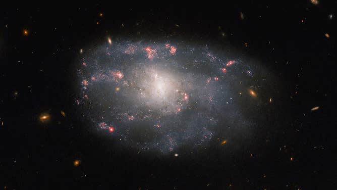 The irregular spiral galaxy NGC 5486. Released by NASA on March 10, 2023.