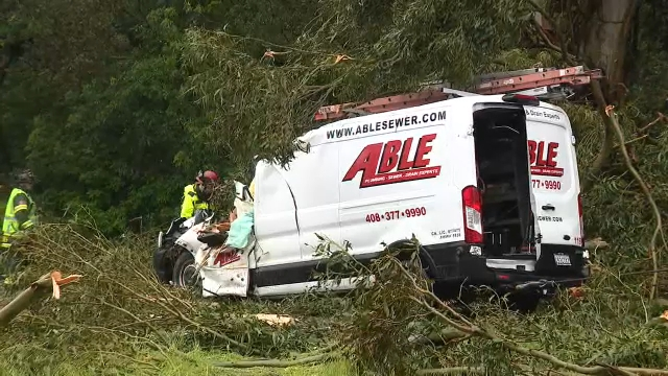 A man was killed when a tree fell onto a van in San Mateo County in California on Tuesday afternoon.
