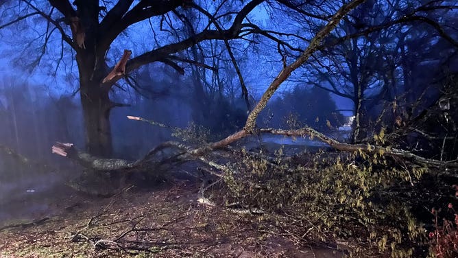 Mississippi storm damage