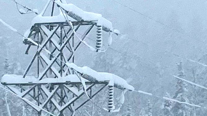 Heavy snow coats power lines in western Massachusetts as a nor'easter hits the region March 14, 2023.