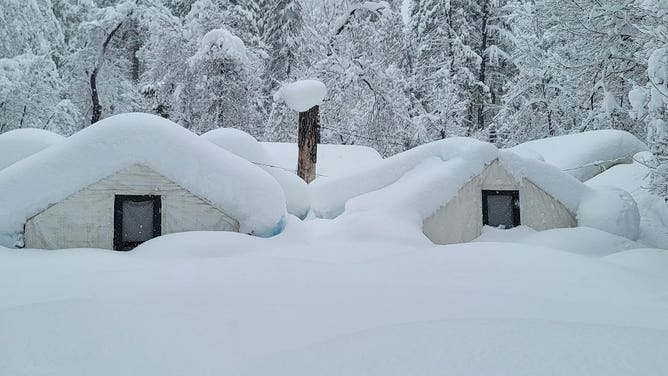 Heavy Snow at Yosemite Park