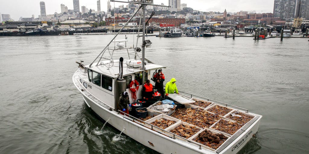 California Announces Closure Of Key Dungeness Crab Fishing Zones To ...