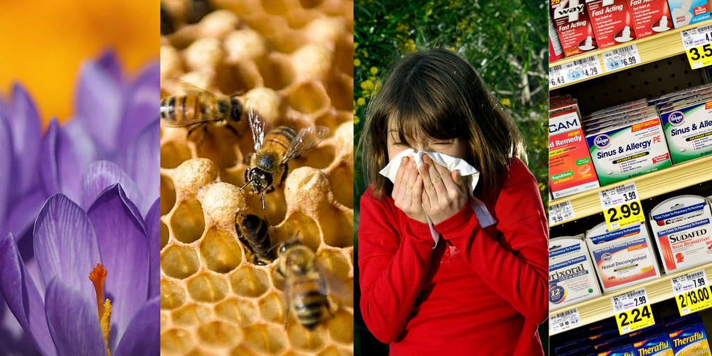 Local honey 2025 for allergies myth