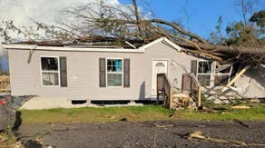 Apparent tornado topples trees, damages homes in Delaware