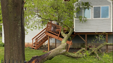 High Wind Warnings: What do they mean and when are they issued?