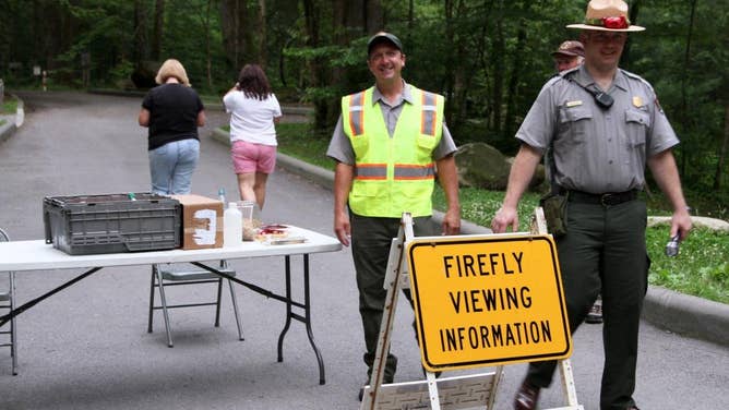 Rangers at synchronous fireflies info table, June 2013.