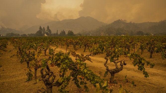 Fires Erupt in California Wine Country, Fueled By Hot, Dry Winds