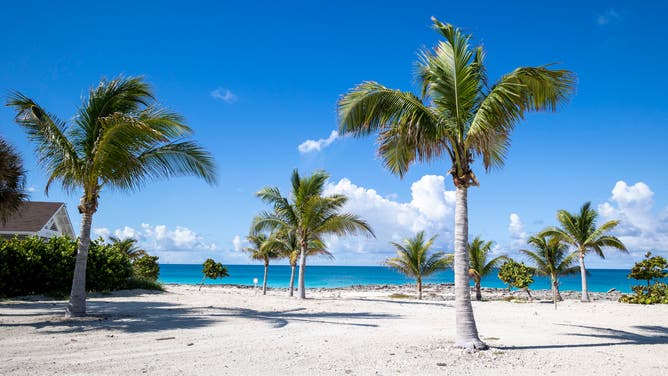 Sandy beaches and palm trees planted for habitat restoration await visitors to Ocean Cay MSC Marine Reserve in the Bahamas.