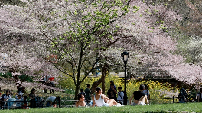 New Yorkers and tourists flock to Central Park to enjoy the warm weather. April 12, 2023.