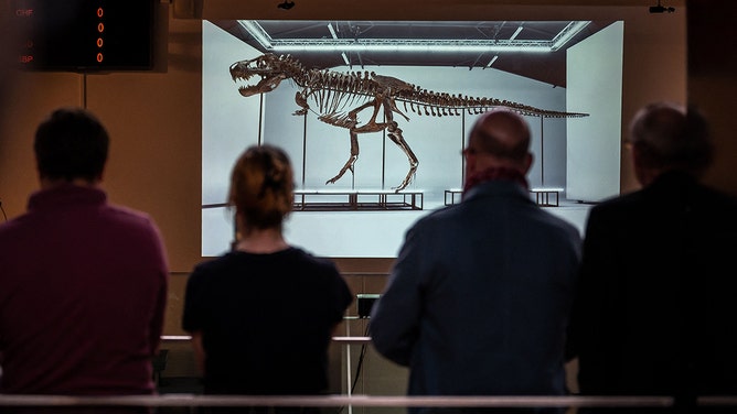 A picture of 'Trinity' is seen during sale of the skeleton of the Tyrannosaurus-Rex (T-Rex) by Koller auction house in Zurich, on April 18, 2023.