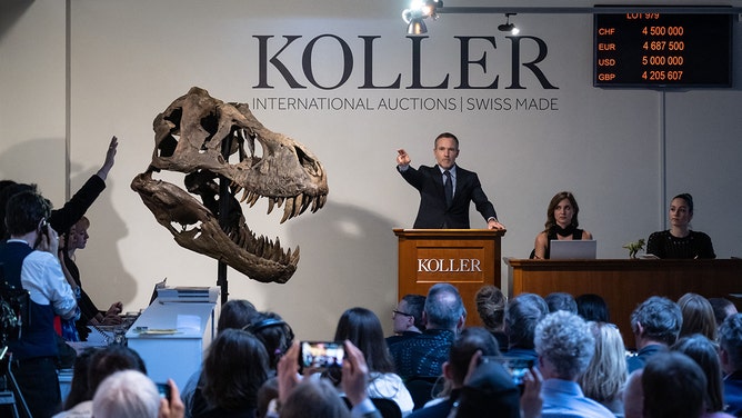 Koller auction house director Cyril Koller (center) gestures next to the skull of the 'Trinity' during sale of the skeleton of the Tyrannosaurus-Rex (T-Rex) by Koller auction house in Zurich, on April 18, 2023.