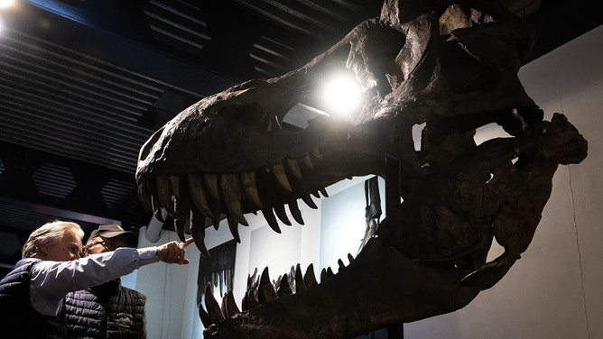 Biders are seen next to a picture of 'Trinity' is seen after the sale of the Tyrannosaurus-Rex (T-Rex) skeleton by Koller auction house in Zurich, on April 18, 2023.