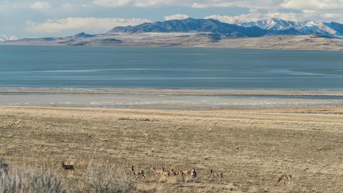 Great Salt Lake