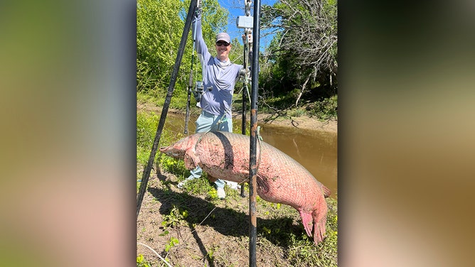 Kentucky man reels in likely world-record alligator gar from Texas river