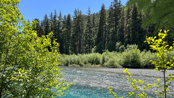 FILE - Hoh River along the Hoh River Trail in Olympic National Park in Washington State on Saturday, June 25, 2022.