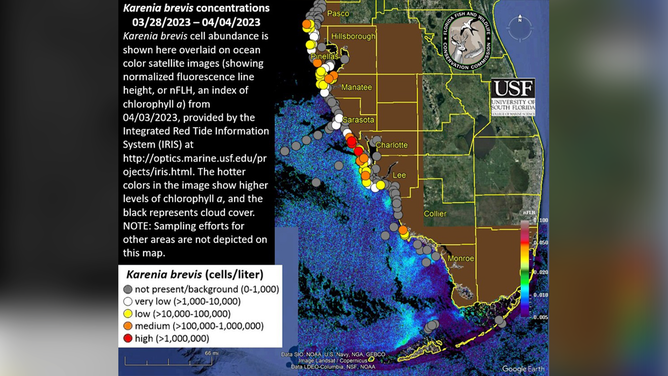 Red tide concentrations along Florida’s southwestern coast from March 28 - April 4.