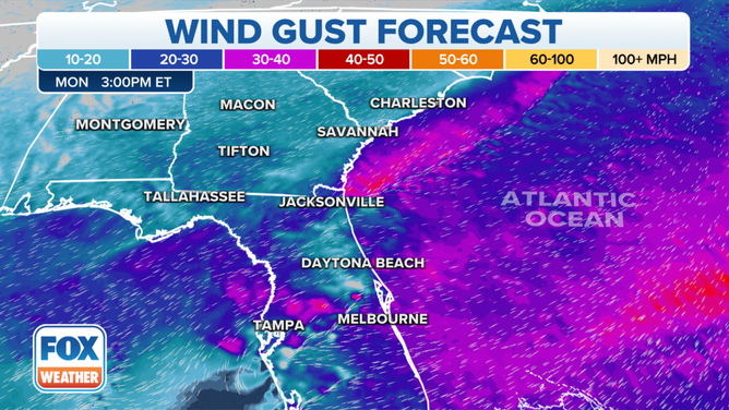 Winds could gust between 30-40 mph along the coast in Florida and Georgia on Monday.