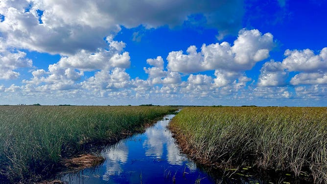 Clouds move across a blue sky above Everglades National Park in Florida during the spring of 2023.
