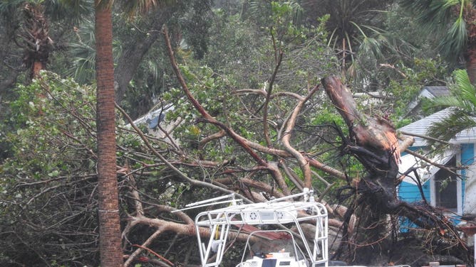 Palm Beach Gardens storm damage