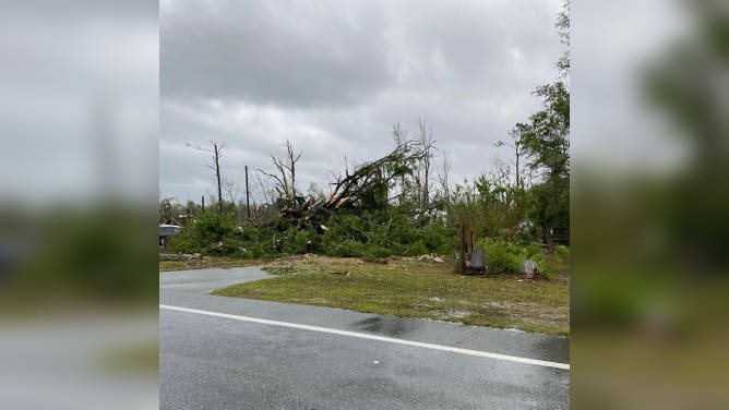 Talquin Electric Cooperative