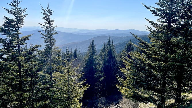 A mountainous landscape is framed by trees at Great Smoky Mountains National Park in Tennessee during the spring of 2023.