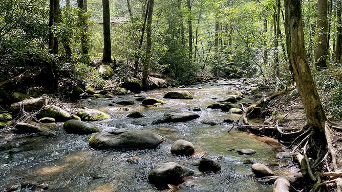 Water flows through a stream at Great Smoky Mountains National Park in Tennessee during the spring of 2023.