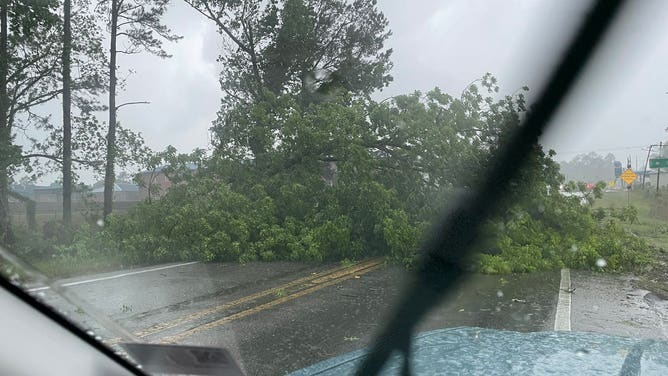 Florida Panhandle storm damage