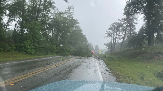 Florida Panhandle storm damage
