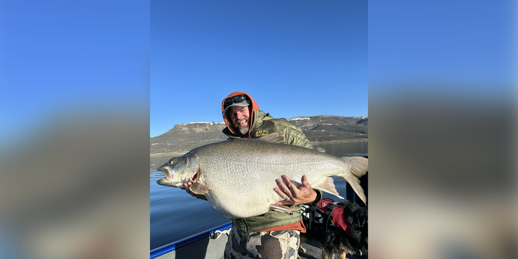 Colorado fisherman reels in likely record-breaking trout, but