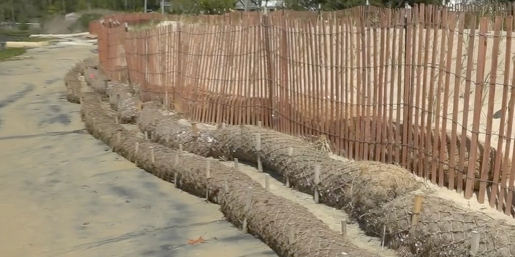 How coconuts are being used to save New Jersey beaches from erosion
