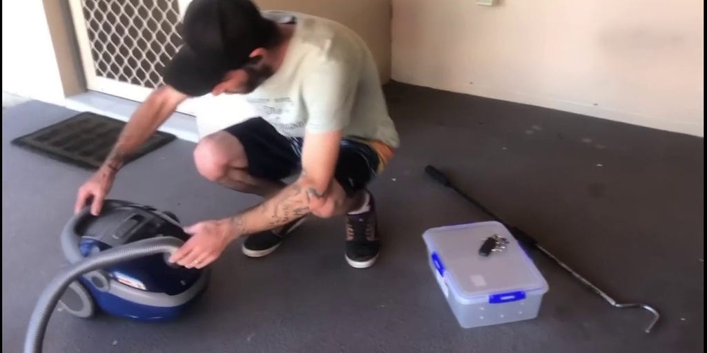 Pros called after venomous snake sucked up with vacuum cleaner