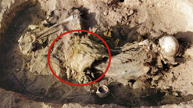 Yanghai cemetery tomb IIM205 with the position of the leather saddle indicated by the red circle.