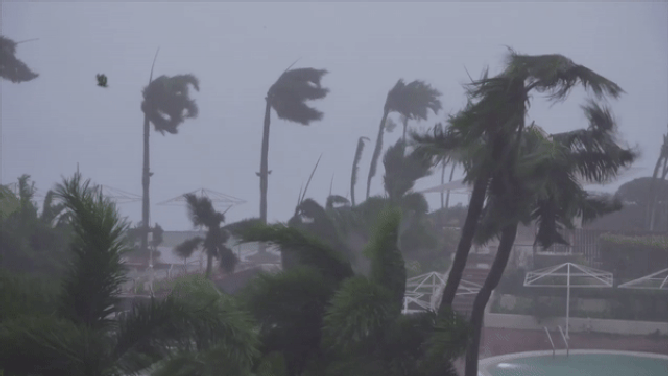 Palm trees bend as destructive winds from Typhoon Mawar lash the U.S. island territory of Guam.