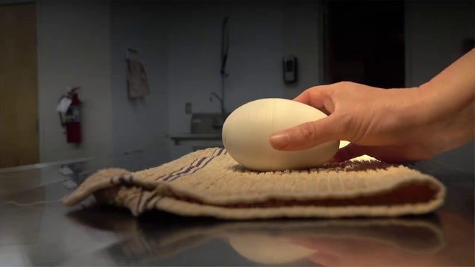 Oregon Zoo's smart egg could help save endangered condors