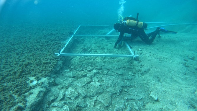 Archaeologists uncover 7,000-year-old Stone Age road under Mediterranean Sea